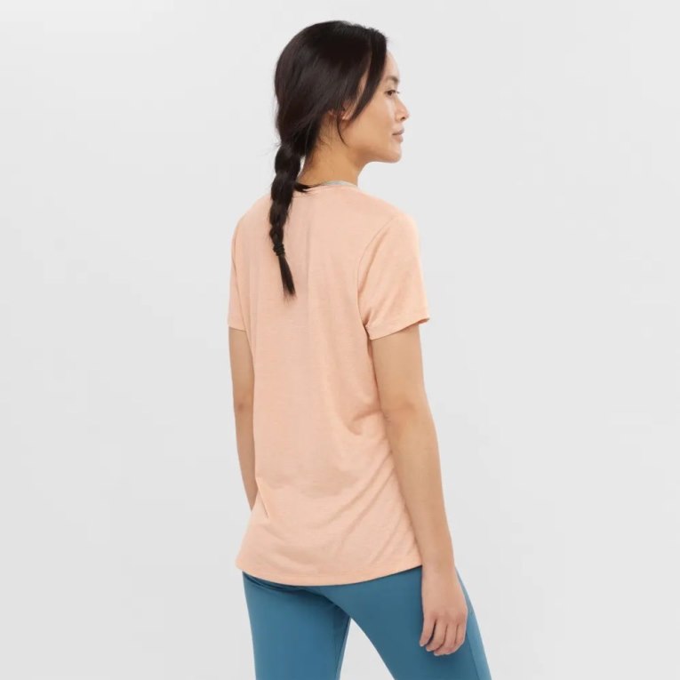 Salomon Agile Short Sleeve Women's T-Shirts Apricot | 649-YLTDUG