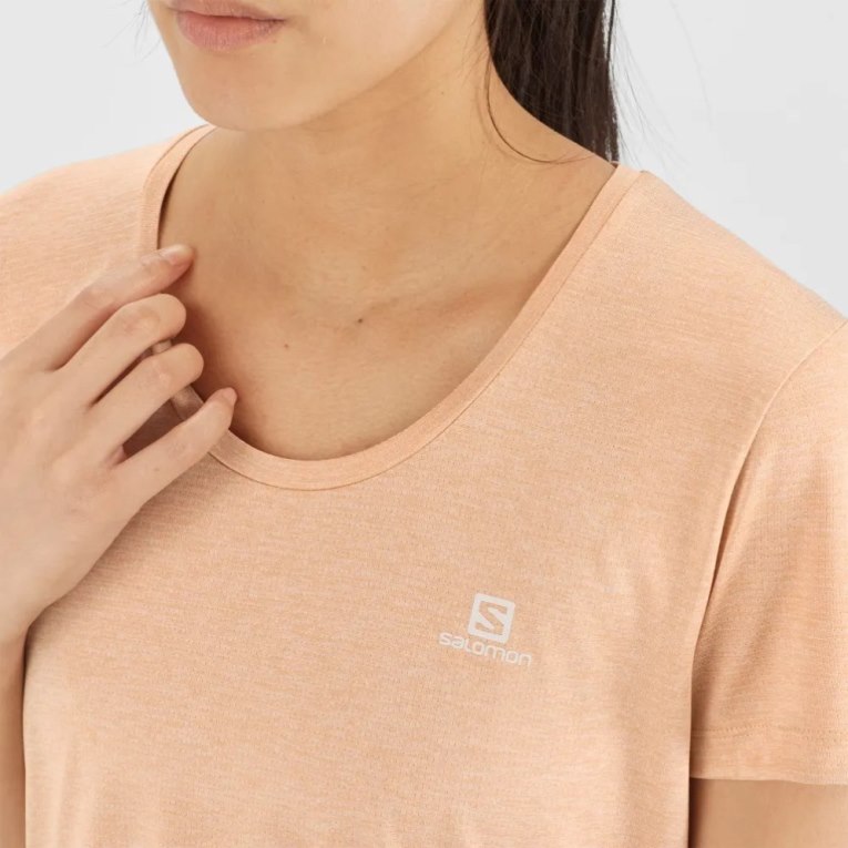 Salomon Agile Short Sleeve Women's T-Shirts Apricot | 649-YLTDUG