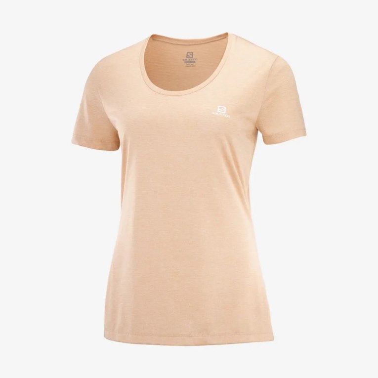 Salomon Agile Short Sleeve Women's T-Shirts Apricot | 649-YLTDUG