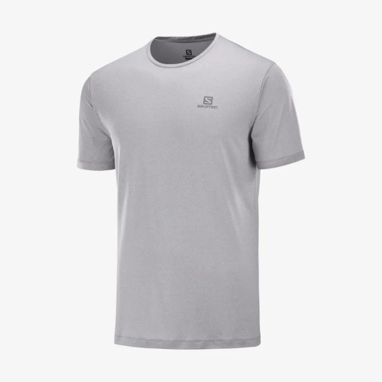 Salomon Agile Training Short Sleeve Men's T-Shirts Light Grey | 081-FKUSBC