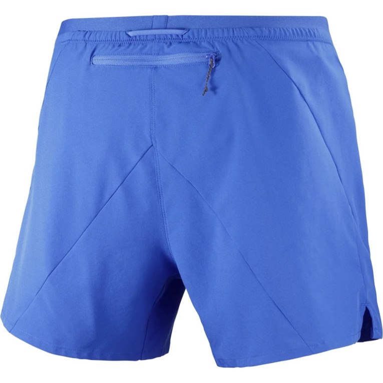 Salomon Cross 5'' Men's Shorts Blue | 284-LKZJBV