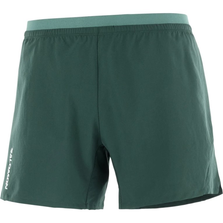 Salomon Cross 5'' Men's Shorts Green | 016-QBWPIC