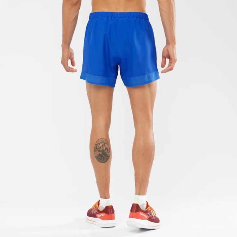 Salomon Cross Rebel 5'' Men's Shorts Blue | 390-KPWRSN