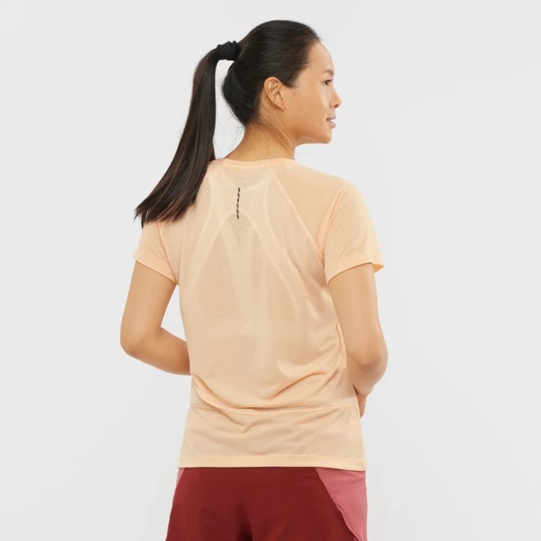 Salomon Cross Rebel Short Sleeve Women's T-Shirts Apricot | 851-PDMNWV