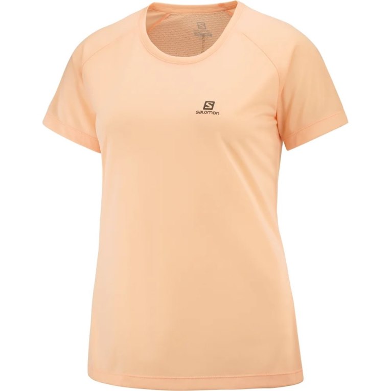 Salomon Cross Rebel Short Sleeve Women's T-Shirts Apricot | 851-PDMNWV