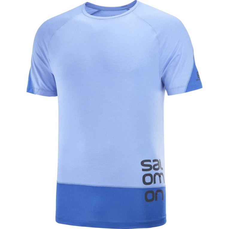 Salomon Cross Run Graphic Short Sleeve Men's T-Shirts Blue | 517-TMSXFZ