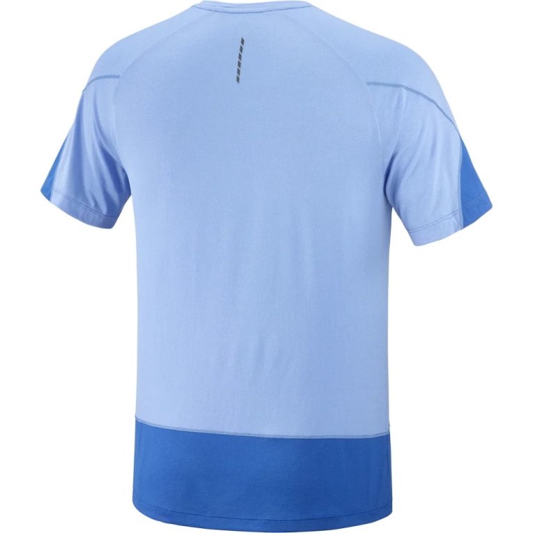 Salomon Cross Run Graphic Short Sleeve Men's T-Shirts Blue | 517-TMSXFZ