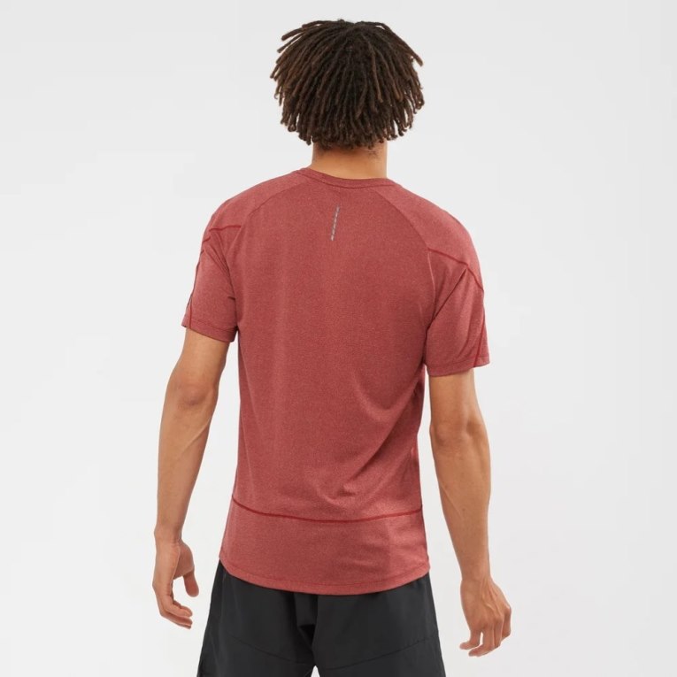 Salomon Cross Run Graphic Short Sleeve Men's T-Shirts Dark Red | 610-BAQPVX