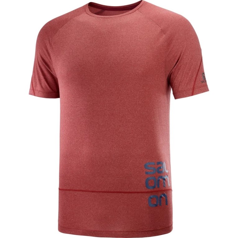 Salomon Cross Run Graphic Short Sleeve Men's T-Shirts Dark Red | 610-BAQPVX