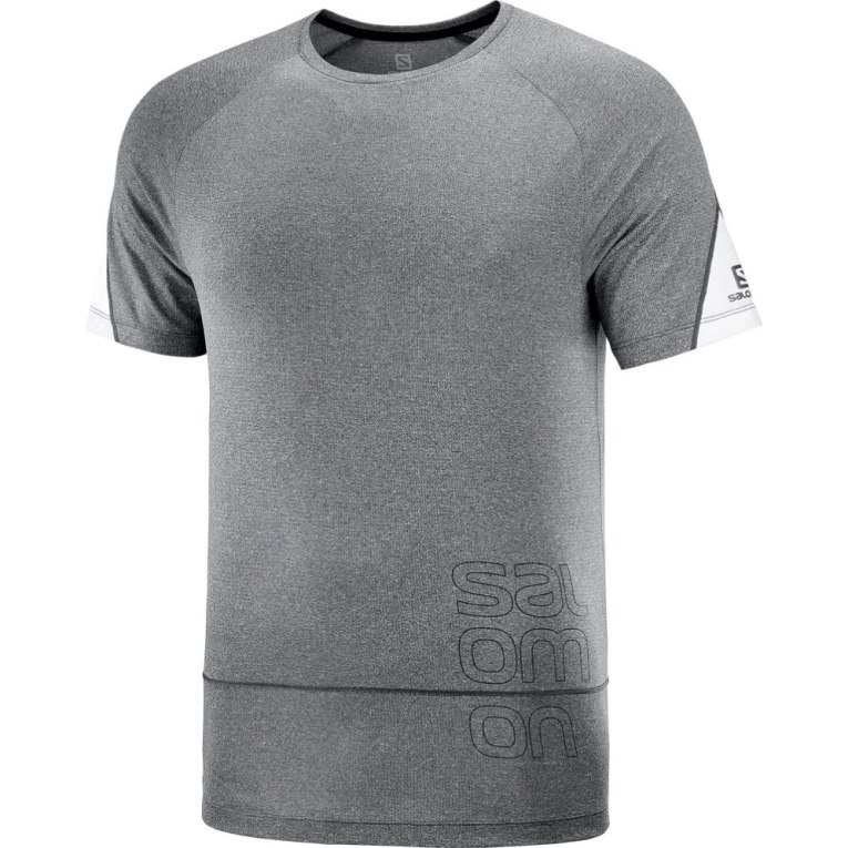 Salomon Cross Run Graphic Short Sleeve Men's T-Shirts Grey | 763-CIQZXY