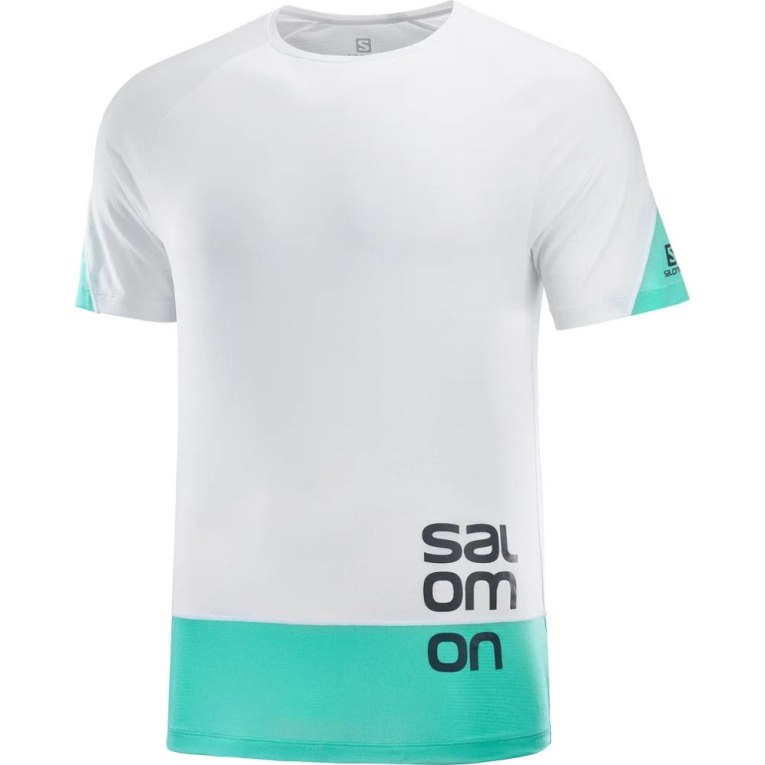 Salomon Cross Run Graphic Short Sleeve Men's T-Shirts White / Turquoise | 768-WGZCPN