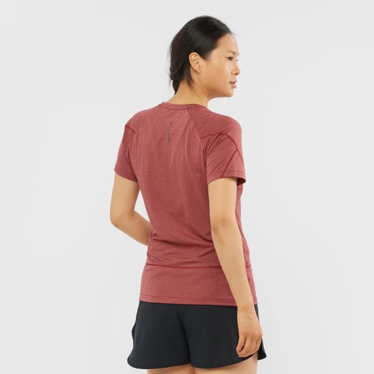 Salomon Cross Run Graphic Short Sleeve Women's T-Shirts Red | 649-MCQOST