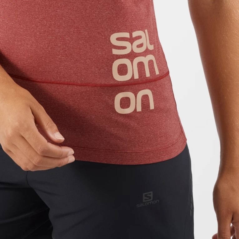 Salomon Cross Run Graphic Short Sleeve Women's T-Shirts Red | 649-MCQOST