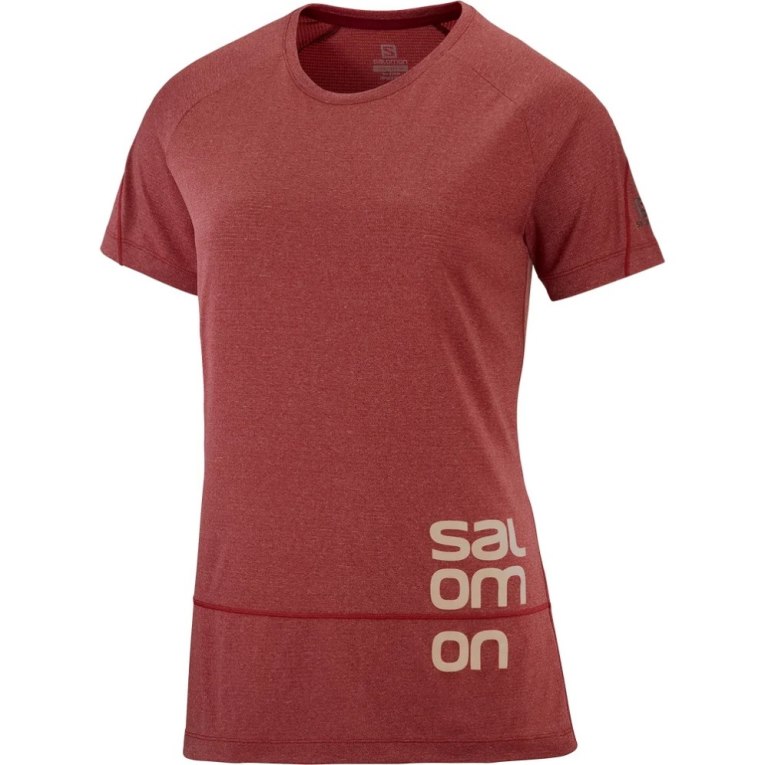 Salomon Cross Run Graphic Short Sleeve Women's T-Shirts Red | 649-MCQOST