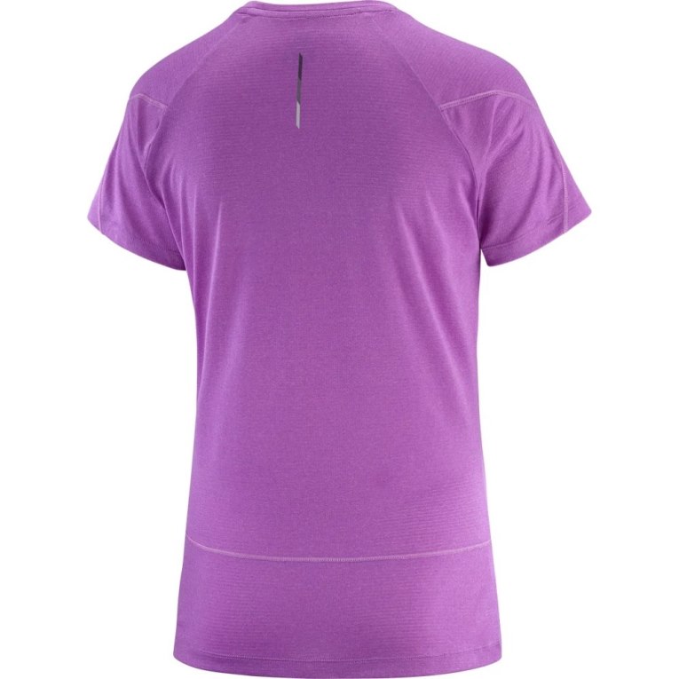 Salomon Cross Run Short Sleeve Women's T-Shirts Lavender | 438-REBDSG