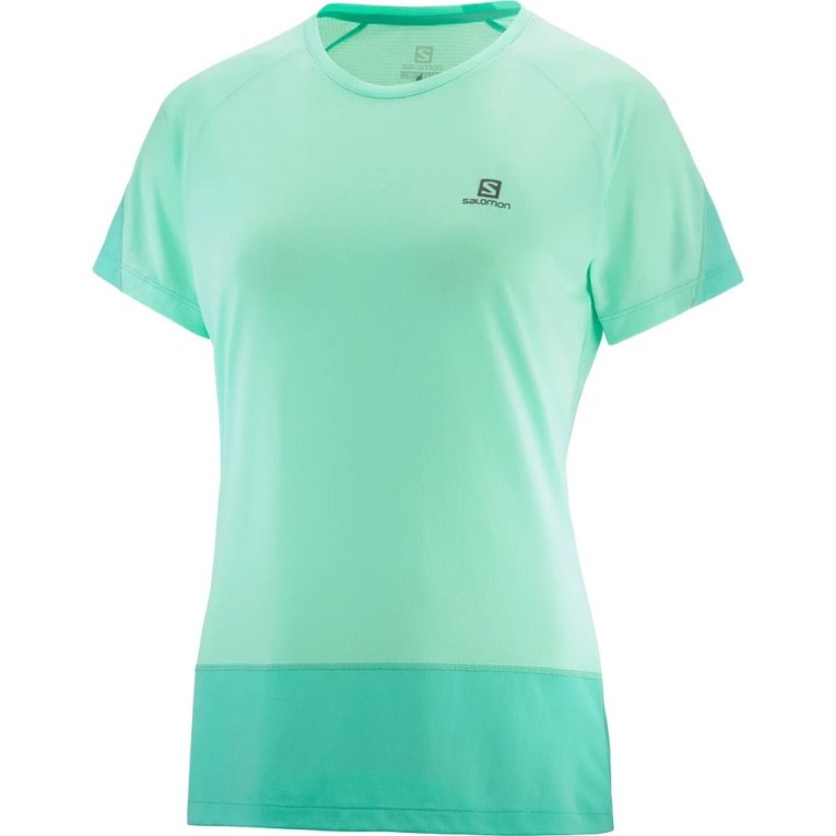 Salomon Cross Run Short Sleeve Women's T-Shirts Turquoise | 540-GUIBQX