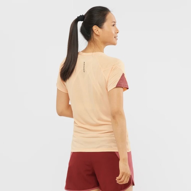 Salomon Cross Run Short Sleeve Women's T-Shirts Apricot | 782-BCQUNS