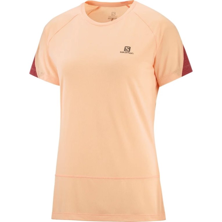 Salomon Cross Run Short Sleeve Women's T-Shirts Apricot | 782-BCQUNS