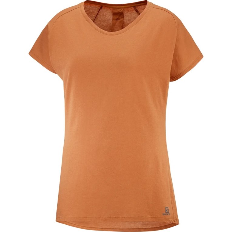 Salomon Essential Shaped Short Sleeve Women's T-Shirts Brown | 945-EPAYSR