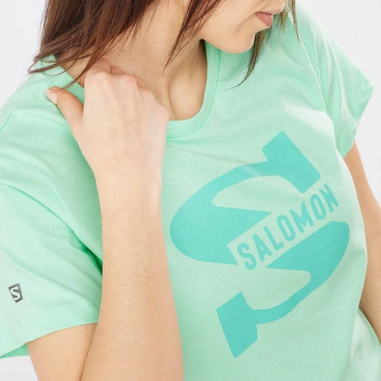 Salomon Outlife Big Logo Short Sleeve Women's T-Shirts Mint | 916-ZECHJK