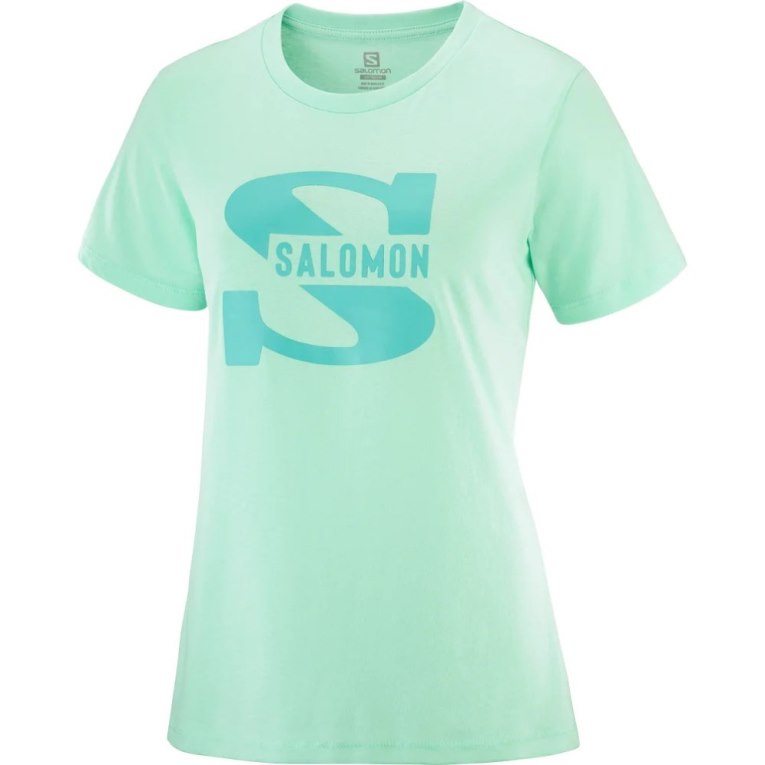 Salomon Outlife Big Logo Short Sleeve Women's T-Shirts Mint | 916-ZECHJK