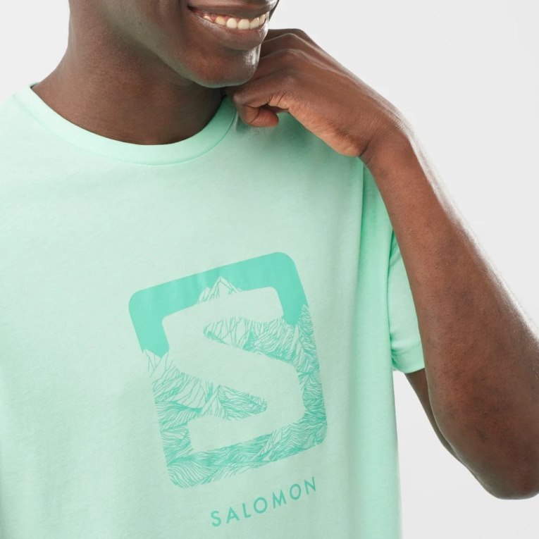 Salomon Outlife Logo Short Sleeve Men's T-Shirts Mint | 057-PRIXUG