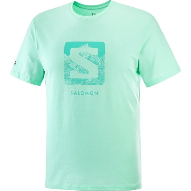 Salomon Outlife Logo Short Sleeve Men's T-Shirts Mint | 057-PRIXUG