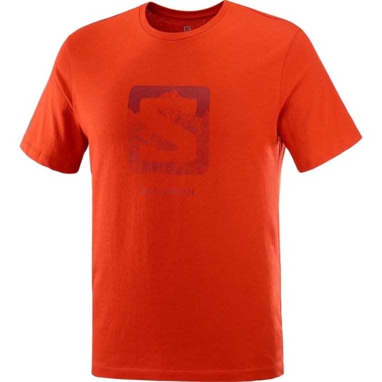 Salomon Outlife Logo Short Sleeve Men's T-Shirts Orange | 867-HLPCXZ