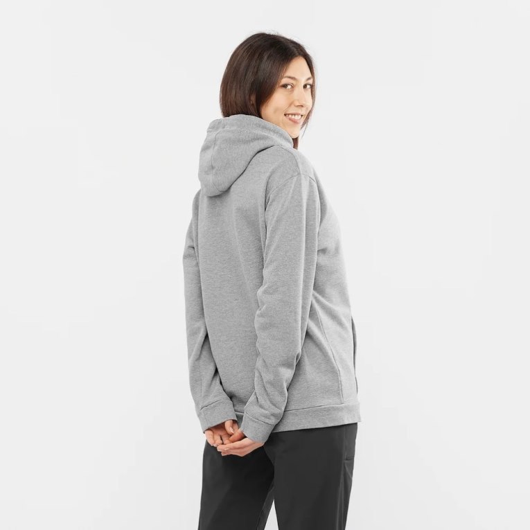 Salomon Outlife Logo Summer Heather Women's Hoodie Grey | 185-SKNDXL