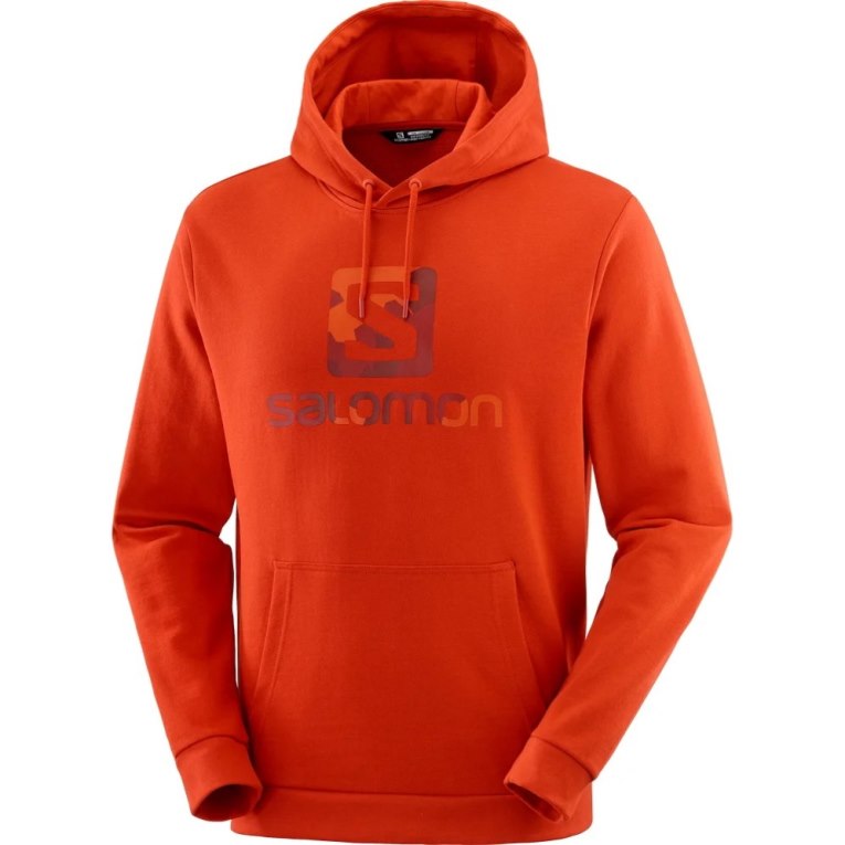 Salomon Outlife Logo Summer Men's Hoodie Red | 946-YPHEQM