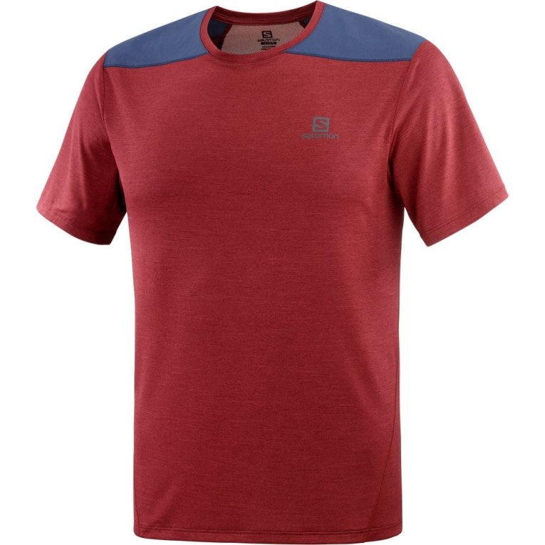 Salomon Outline Short Sleeve Men's T-Shirts Dark Red / Navy | 254-ZECFOR