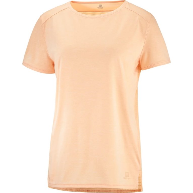 Salomon Outline Summer Short Sleeve Women's T-Shirts Apricot | 634-XHQJMU