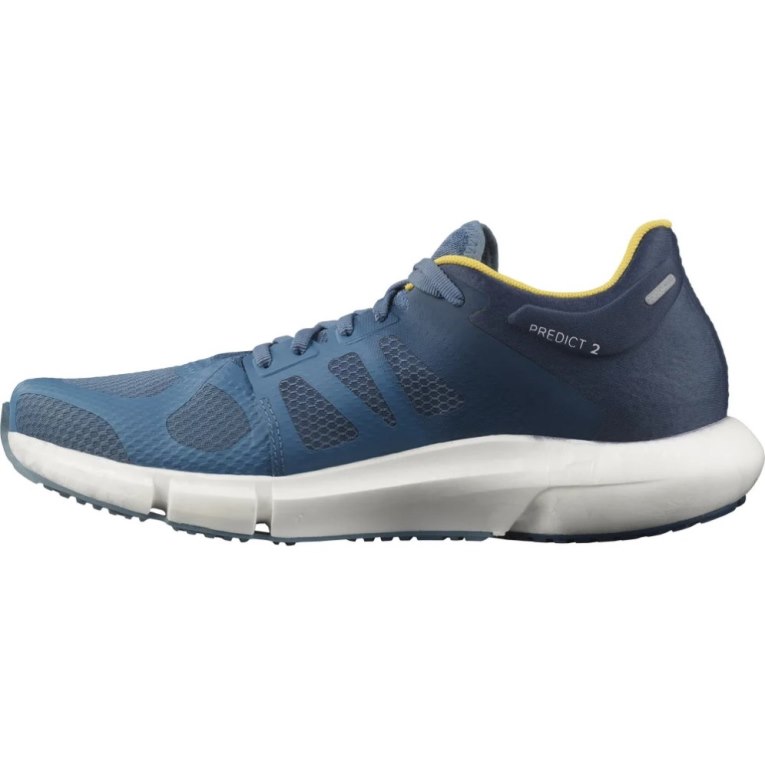 Salomon Predict 2 Men's Running Shoes Blue | 496-CYFOKD