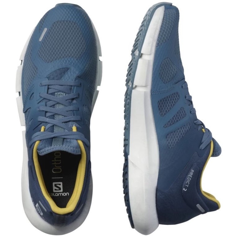 Salomon Predict 2 Men's Running Shoes Blue | 496-CYFOKD