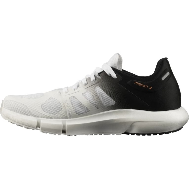 Salomon Predict 2 Men's Running Shoes White / Black | 536-HGFYXR