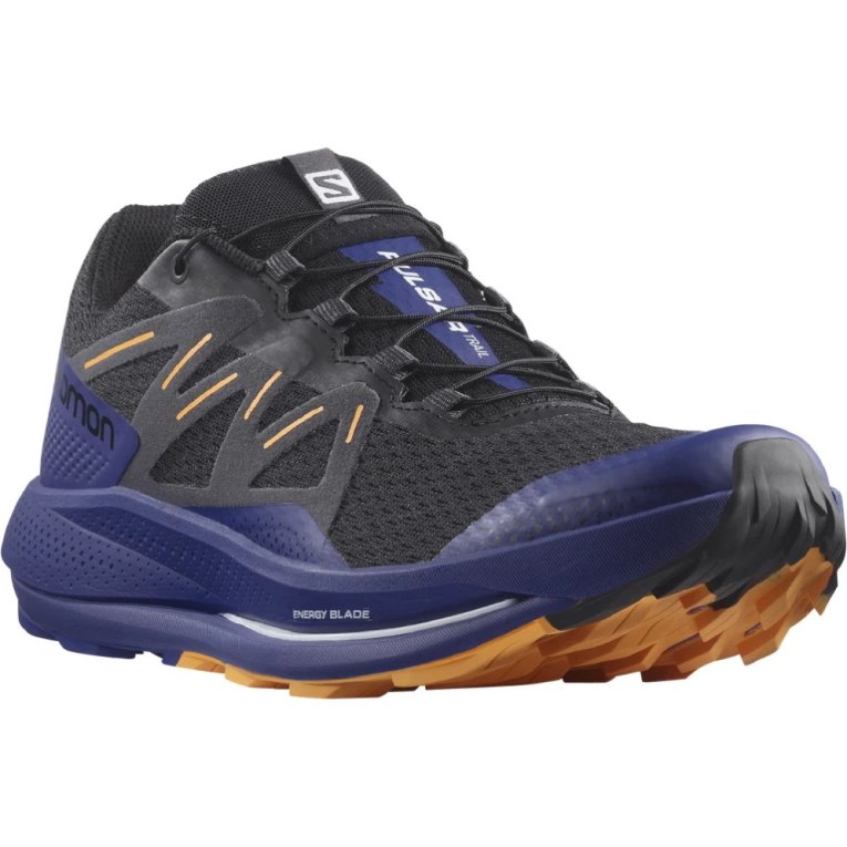 Salomon Pulsar Men's Trail Running Shoes Blue / Black | 079-KTNREC