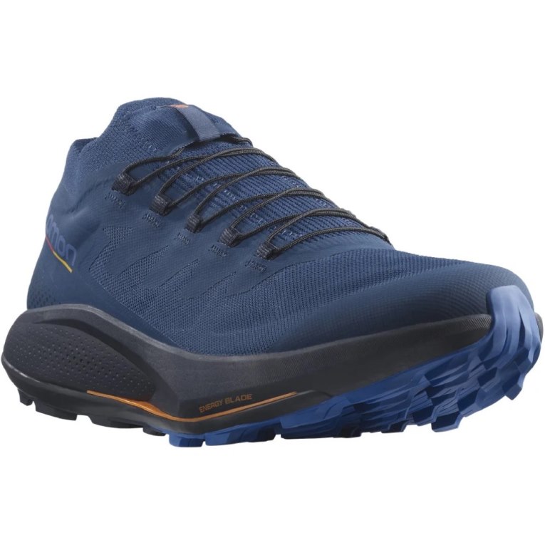 Salomon Pulsar Pro Men's Trail Running Shoes Navy | 658-TEDLXN