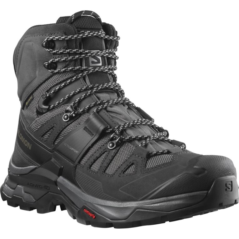 Salomon Quest 4 GTX Men's Hiking Boots Black | 716-DBSMRQ