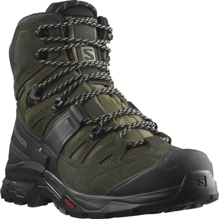 Salomon Quest 4 GTX Men's Hiking Boots Olive | 781-BYKVPM