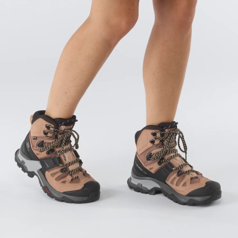 Salomon Quest 4 GTX Women's Hiking Boots Brown / Black | 680-ASXCTD