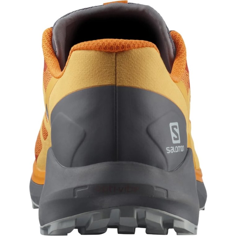 Salomon Sense Ride 4 Men's Trail Running Shoes Orange | 064-LGPAIB