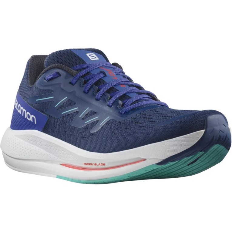 Salomon Spectur Men's Running Shoes Blue | 450-CIZKQT