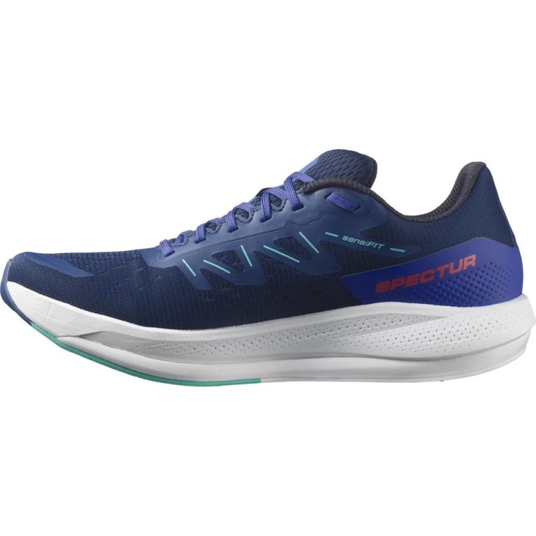 Salomon Spectur Men's Running Shoes Blue | 450-CIZKQT