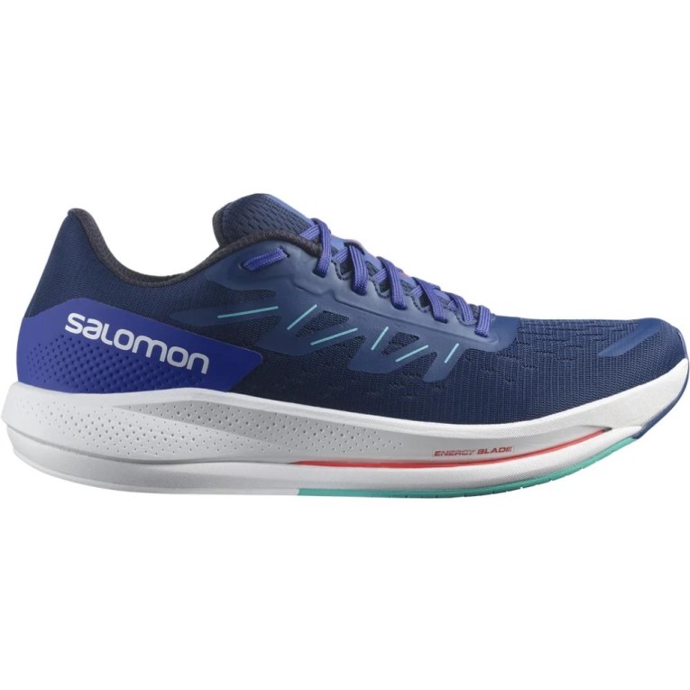 Salomon Spectur Men\'s Running Shoes Blue | 450-CIZKQT