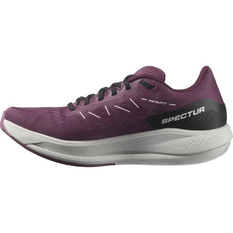 Salomon Spectur Women's Running Shoes Purple | 158-MFLQPH