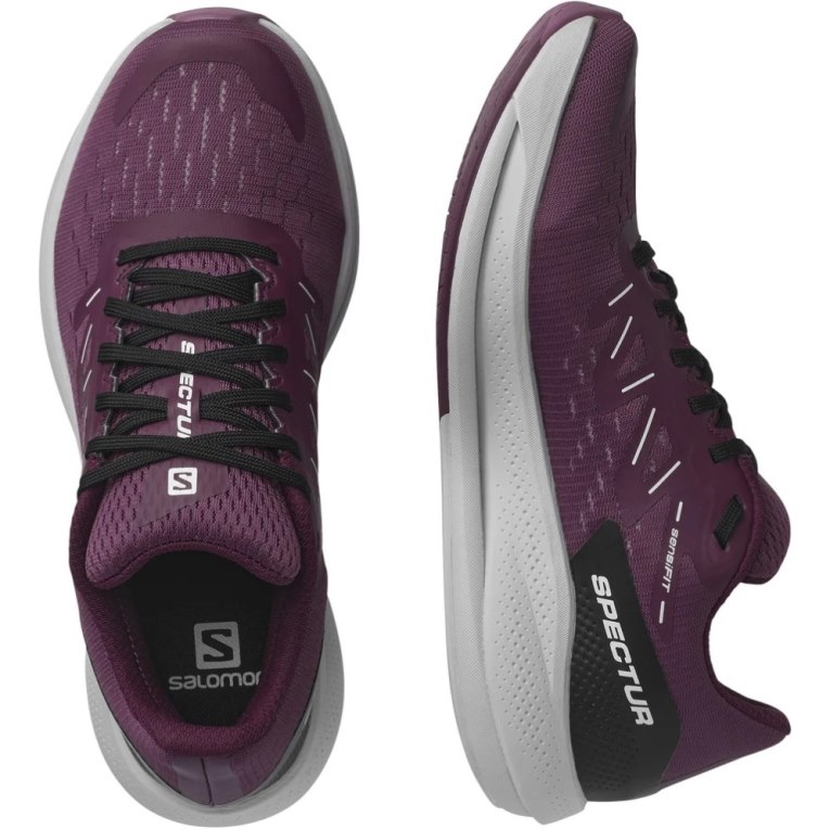 Salomon Spectur Women's Running Shoes Purple | 158-MFLQPH