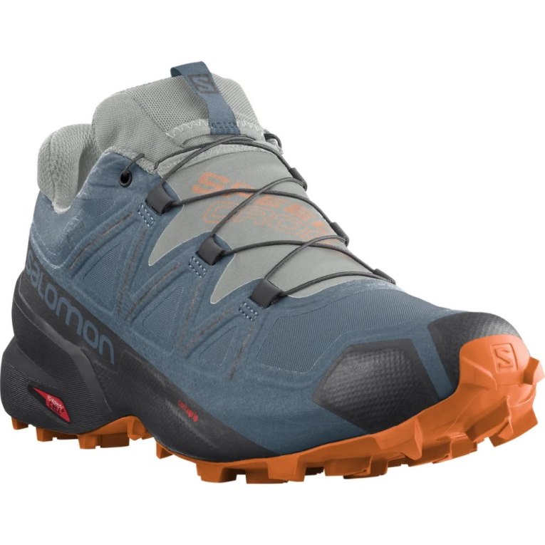 Salomon Speedcross 5 GTX Men's Trail Running Shoes Blue | 452-FNXLOR