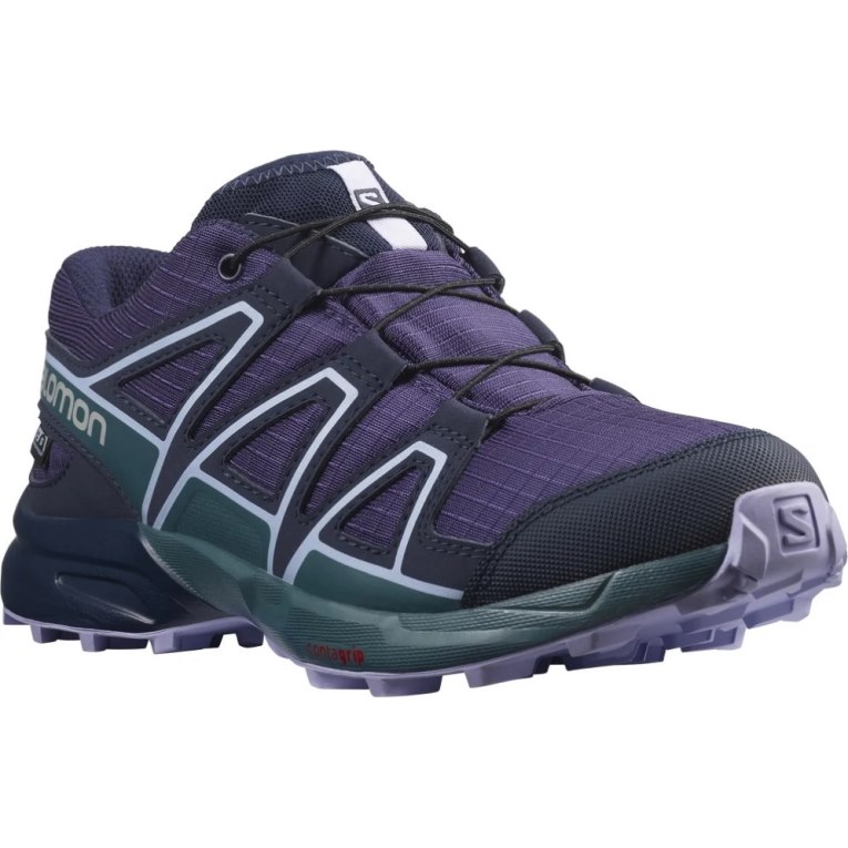 Salomon Speedcross CSWP Kids' Hiking Shoes Purple | 527-JXLDIG