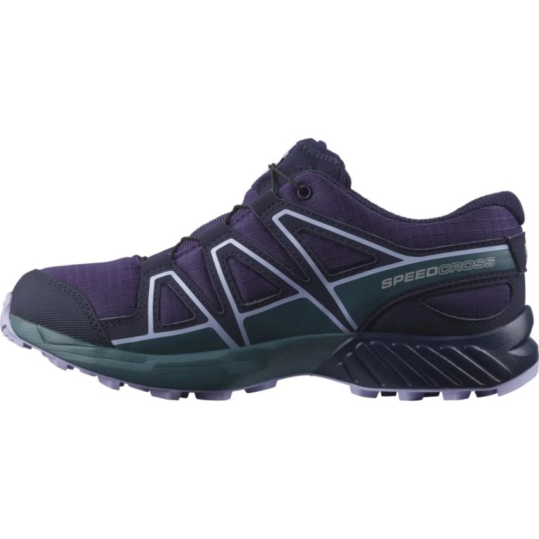 Salomon Speedcross CSWP Kids' Hiking Shoes Purple | 527-JXLDIG