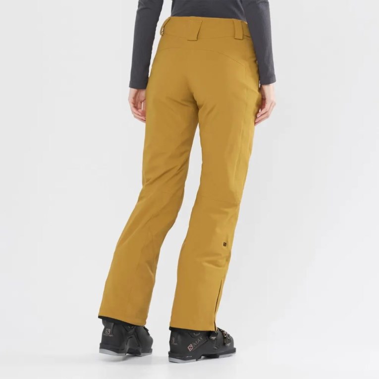 Salomon The Brilliant Women's Ski Pants Brown | 634-CKZJGP